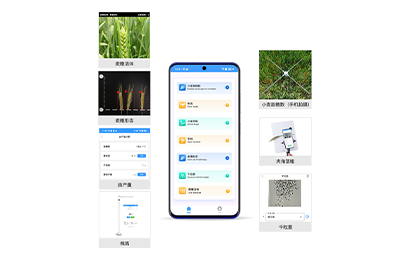 揭阳市小麦表型检测仪IN-XM04